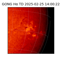 gong - 2025-02-25T14:00:22