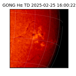 gong - 2025-02-25T16:00:22