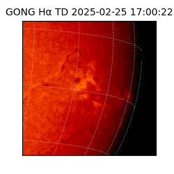 gong - 2025-02-25T17:00:22