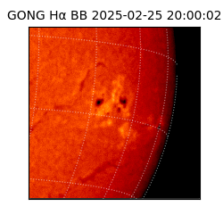 gong - 2025-02-25T20:00:02