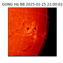 gong - 2025-02-25T22:00:02