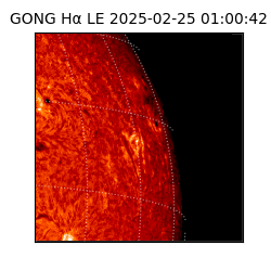 gong - 2025-02-25T01:00:42