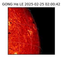 gong - 2025-02-25T02:00:42