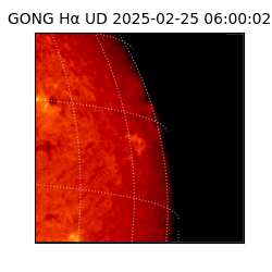 gong - 2025-02-25T06:00:02