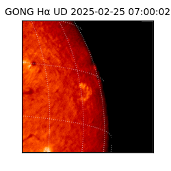 gong - 2025-02-25T07:00:02