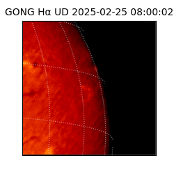 gong - 2025-02-25T08:00:02