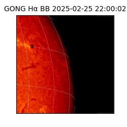 gong - 2025-02-25T22:00:02