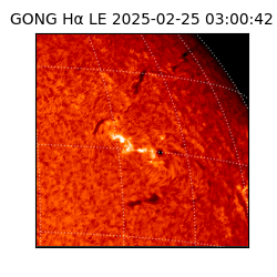 gong - 2025-02-25T03:00:42