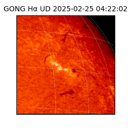 gong - 2025-02-25T04:22:02
