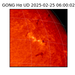 gong - 2025-02-25T06:00:02