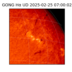 gong - 2025-02-25T07:00:02