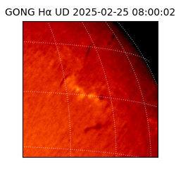 gong - 2025-02-25T08:00:02