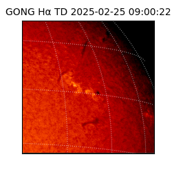 gong - 2025-02-25T09:00:22