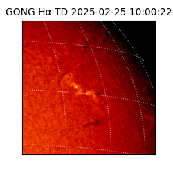 gong - 2025-02-25T10:00:22