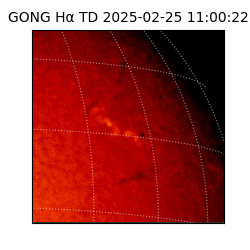 gong - 2025-02-25T11:00:22
