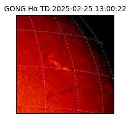 gong - 2025-02-25T13:00:22