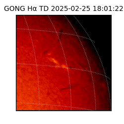 gong - 2025-02-25T18:01:22