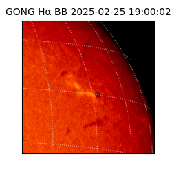 gong - 2025-02-25T19:00:02