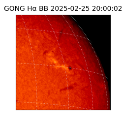 gong - 2025-02-25T20:00:02