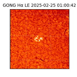 gong - 2025-02-25T01:00:42