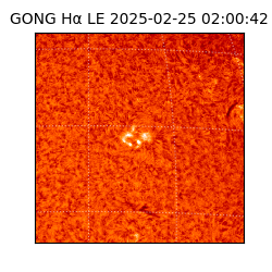 gong - 2025-02-25T02:00:42