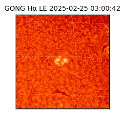 gong - 2025-02-25T03:00:42