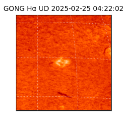 gong - 2025-02-25T04:22:02