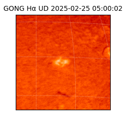 gong - 2025-02-25T05:00:02