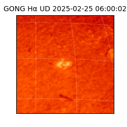 gong - 2025-02-25T06:00:02