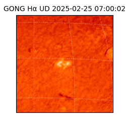 gong - 2025-02-25T07:00:02