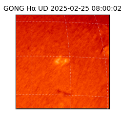 gong - 2025-02-25T08:00:02