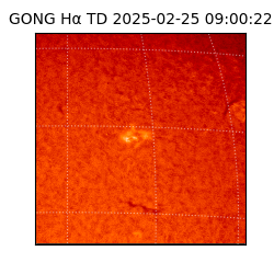 gong - 2025-02-25T09:00:22