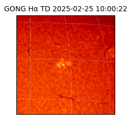 gong - 2025-02-25T10:00:22