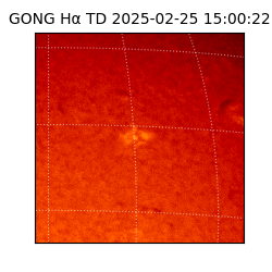 gong - 2025-02-25T15:00:22