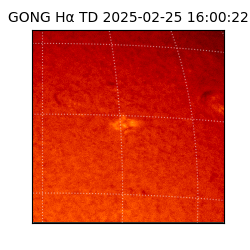 gong - 2025-02-25T16:00:22