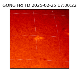 gong - 2025-02-25T17:00:22