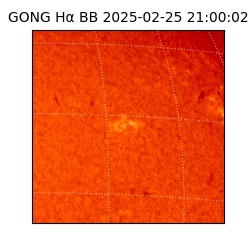 gong - 2025-02-25T21:00:02