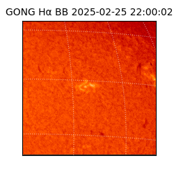 gong - 2025-02-25T22:00:02