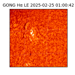 gong - 2025-02-25T01:00:42