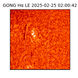 gong - 2025-02-25T02:00:42