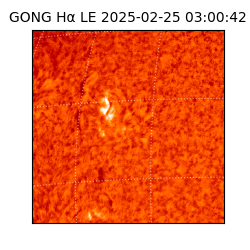 gong - 2025-02-25T03:00:42