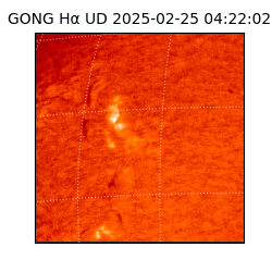 gong - 2025-02-25T04:22:02