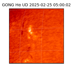 gong - 2025-02-25T05:00:02