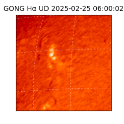 gong - 2025-02-25T06:00:02