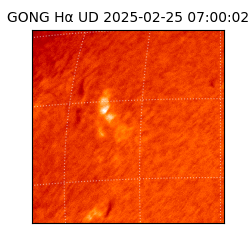 gong - 2025-02-25T07:00:02