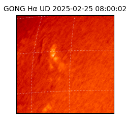 gong - 2025-02-25T08:00:02