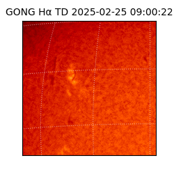 gong - 2025-02-25T09:00:22