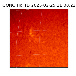 gong - 2025-02-25T11:00:22