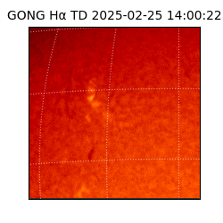 gong - 2025-02-25T14:00:22