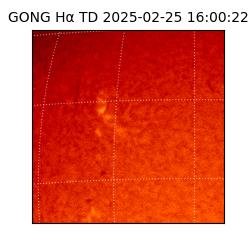 gong - 2025-02-25T16:00:22
